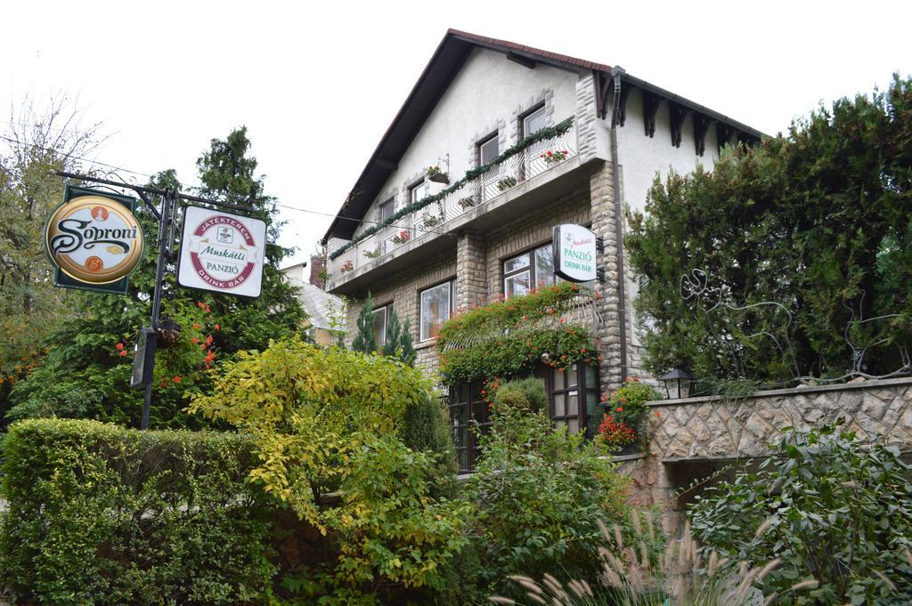 Muskatli Panzio Bed & Breakfast Gyor Exterior photo