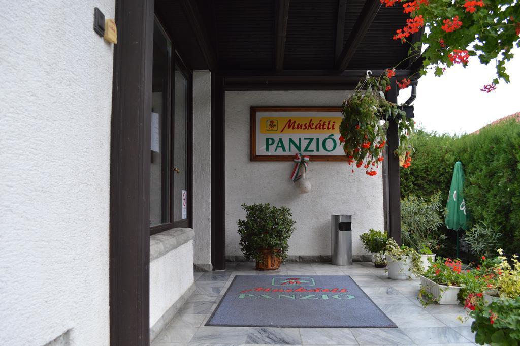 Muskatli Panzio Bed & Breakfast Gyor Exterior photo