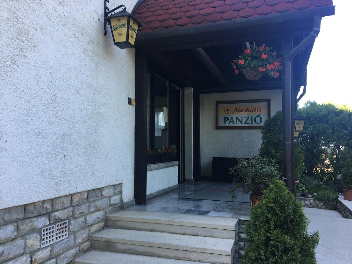 Muskatli Panzio Bed & Breakfast Gyor Exterior photo